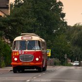 Jelcz 021 #549