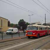 Jelcz 021 #549