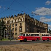 Jelcz 021 #549