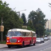 Jelcz 021 #549
