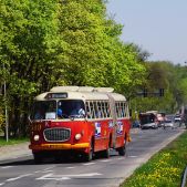 Jelcz 021 #549