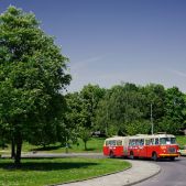 Jelcz 021 #549