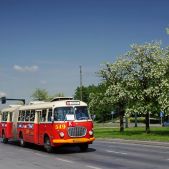 Jelcz 021 #549