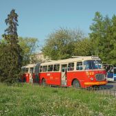 Jelcz 021 #549