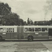 Jelcz 021 #549