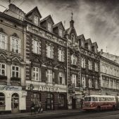 Jelcz 021 #549