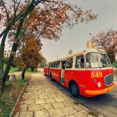 Jelcz 021 #549