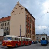 Jelcz 021 #549