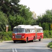 Jelcz 021 #549