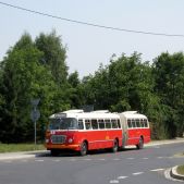 Jelcz 021 #549