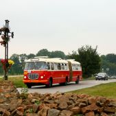 Jelcz 021 #549