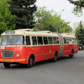 Jelcz 021 #549
