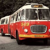 Jelcz 021 #549
