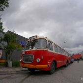 Jelcz 021 #549