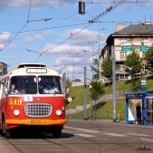 Jelcz 021 #549