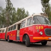 Jelcz 021 #549