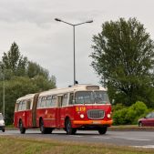 Jelcz 021 #549