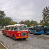 Jelcz 021 #549