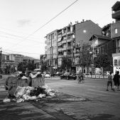 Kosowska Mitrowica