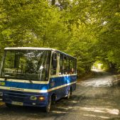Autosan H6-06 #10108