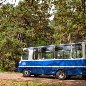 Autosan H6-06 #10108