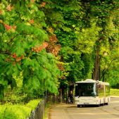 SOR NB18 City #1859