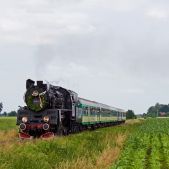 Ol49-69