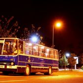 Ikarus 260.04 #45151