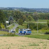 Ikarus 260.04 #45151