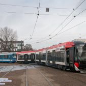 Newag Nevelo 126N #RY899