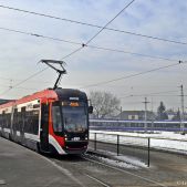 Newag Nevelo 126N #RY899