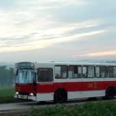 Jelcz M11 #317
