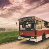 Jelcz M11 #317