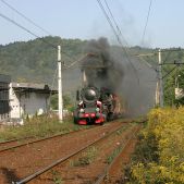 Ty2-953