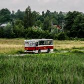 Jelcz M11 #317