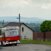 Jelcz M11 #317