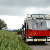 Jelcz M11 #317