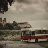 Jelcz M11 #317
