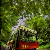 Jelcz M11 #317
