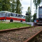 Jelcz M11 #317