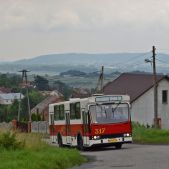 Jelcz M11 #317