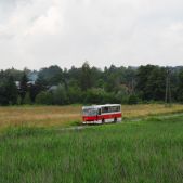 Jelcz M11 #317