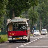 Jelcz M11 #317