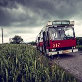 Jelcz M11 #317