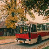 Jelcz M11 #317