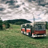 Jelcz M11 #317