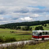 Jelcz M11 #317