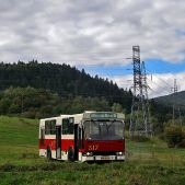 Jelcz M11 #317
