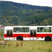 Jelcz M11 #317