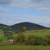 Jelcz M11 #317